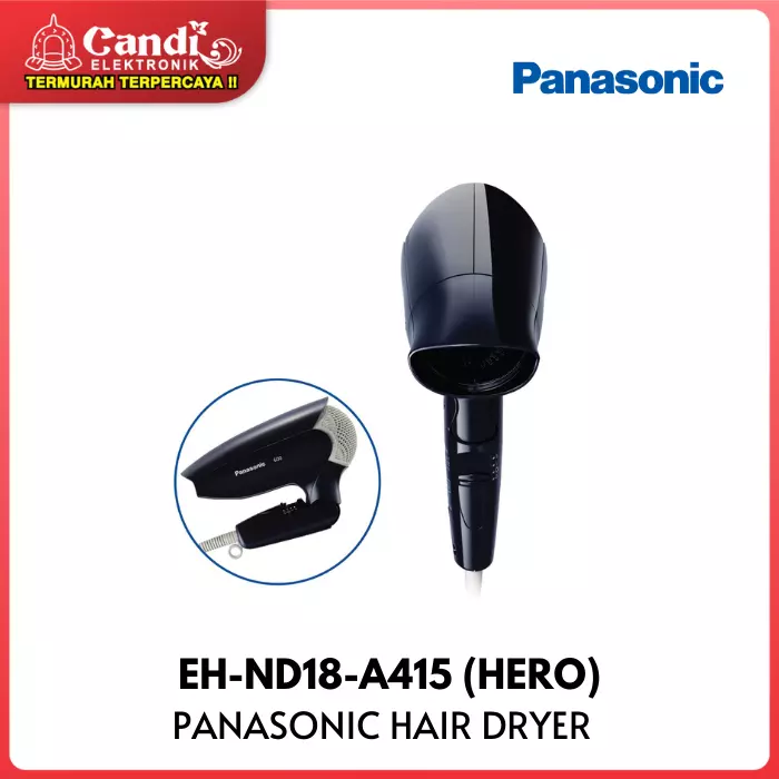 Hair Dryer Panasonic